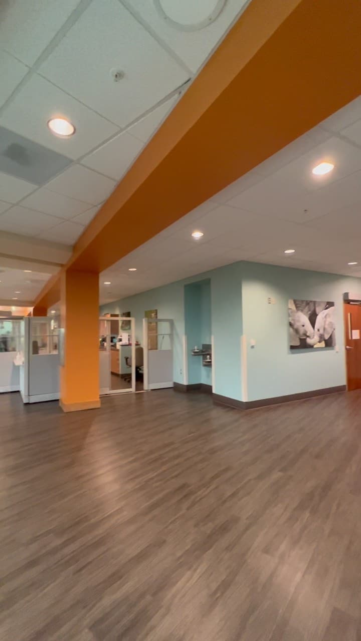 Commercial Interior Orange Accent Beam Teal Walls